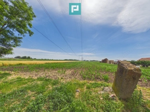 Teren extravilan 5000 mp, Arad - imagine 5