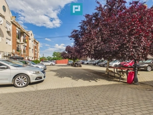 Apartament o cameră Vladimirescu - imagine 10
