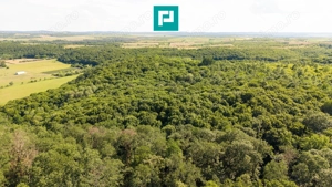 TEREN AGRICOL EXTRAVILAN  22.900 MP LIPOVA - imagine 8