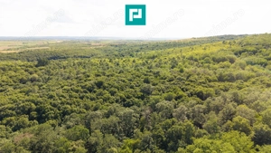 TEREN AGRICOL EXTRAVILAN  22.900 MP LIPOVA - imagine 3