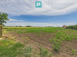 Teren extravilan 5000 mp, Arad - imagine 9