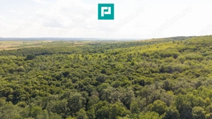 TEREN AGRICOL EXTRAVILAN  22.900 MP LIPOVA - imagine 7