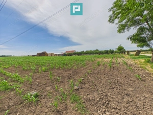 Teren extravilan 5000 mp, Arad - imagine 6