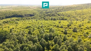 TEREN AGRICOL EXTRAVILAN  22.900 MP LIPOVA - imagine 6