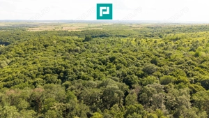 TEREN AGRICOL EXTRAVILAN  22.900 MP LIPOVA - imagine 5