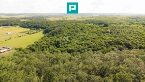 TEREN AGRICOL EXTRAVILAN  22.900 MP LIPOVA - imagine 9