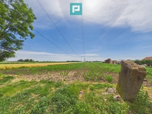 Teren extravilan 5000 mp, Arad - imagine 7