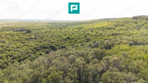 TEREN AGRICOL EXTRAVILAN  22.900 MP LIPOVA - imagine 12