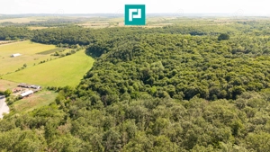 TEREN AGRICOL EXTRAVILAN  22.900 MP LIPOVA - imagine 16