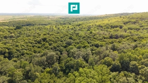 TEREN AGRICOL EXTRAVILAN  22.900 MP LIPOVA - imagine 17