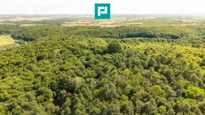 TEREN AGRICOL EXTRAVILAN  22.900 MP LIPOVA - imagine 13