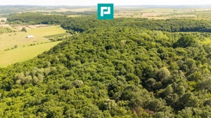 TEREN AGRICOL EXTRAVILAN  22.900 MP LIPOVA - imagine 18