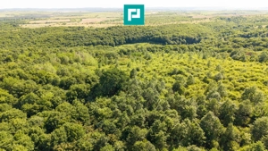TEREN AGRICOL EXTRAVILAN  22.900 MP LIPOVA - imagine 15