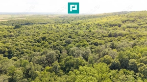 TEREN AGRICOL EXTRAVILAN  22.900 MP LIPOVA - imagine 11