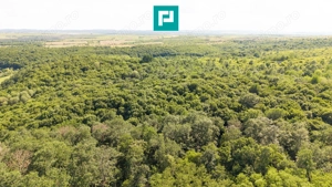 TEREN AGRICOL EXTRAVILAN  22.900 MP LIPOVA - imagine 19