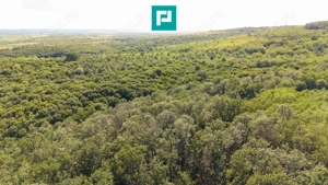 TEREN AGRICOL EXTRAVILAN  22.900 MP LIPOVA - imagine 20