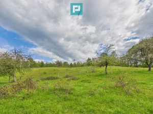 Casă cu teren de 17.681 mp, în loc. Hălmăgel, Arad - imagine 12