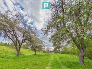 Casă cu teren de 17.681 mp, în loc. Hălmăgel, Arad - imagine 11