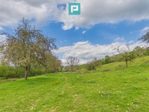 Casă cu teren de 17.681 mp, în loc. Hălmăgel, Arad - imagine 13