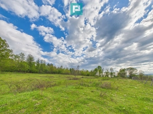 Casă cu teren de 17.681 mp, în loc. Hălmăgel, Arad - imagine 19
