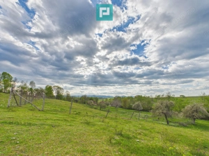 Casă cu teren de 17.681 mp, în loc. Hălmăgel, Arad - imagine 17