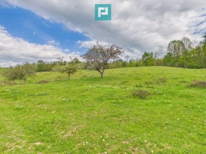 Casă cu teren de 17.681 mp, în loc. Hălmăgel, Arad - imagine 16