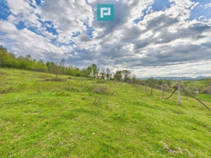 Casă cu teren de 17.681 mp, în loc. Hălmăgel, Arad - imagine 20