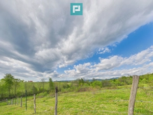 Casă cu teren de 17.681 mp, în loc. Hălmăgel, Arad - imagine 18