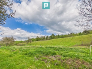 Casă cu teren de 17.681 mp, în loc. Hălmăgel, Arad - imagine 14