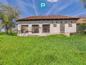 Proprietate rară cu 24.270 mp, în Măgulicea, Arad! - imagine 6