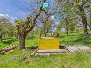 Proprietate rară cu 24.270 mp, în Măgulicea, Arad! - imagine 8