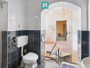 Casă + afacere activă | Venit 1100€/lună - imagine 10