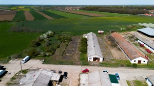 Spațiu depozitare 734mp și teren de 7.844mp Macea - imagine 2