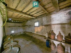 Proprietate rară cu 24.270 mp, în Măgulicea, Arad! - imagine 15