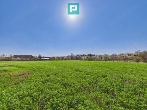 Teren intravilan 3024 mp, în comuna Almaș, Arad - imagine 2