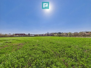 Teren intravilan 3024 mp, în comuna Almaș, Arad - imagine 4