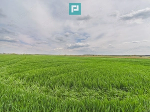 Teren extravilan 19.900 mp – Giroc centură