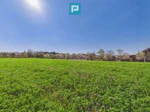 Teren intravilan 3024 mp, în comuna Almaș, Arad - imagine 3