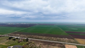 Teren de 41800 mp ieșire Vladimirescu - imagine 6