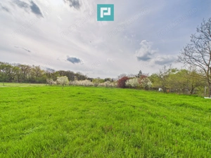 Teren intravilan, 820 mp, Pădure Giroc - imagine 2