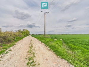 Teren extravilan 19.900 mp – Giroc centură - imagine 5