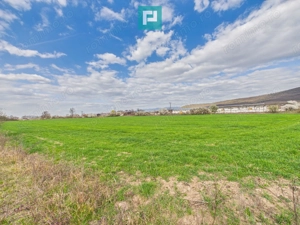 Teren extravilan, 1 ha, în orașul Sebiș, Arad - imagine 2