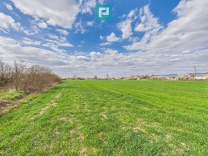 Teren extravilan, 1 ha, în orașul Sebiș, Arad - imagine 8