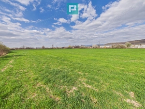 Teren extravilan, 1 ha, în orașul Sebiș, Arad - imagine 7