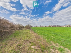 Teren extravilan, 1 ha, în orașul Sebiș, Arad - imagine 4