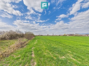 Teren extravilan, 1 ha, în orașul Sebiș, Arad - imagine 6