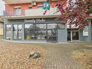 Spațiu comercial  | Parter Bermo, Micălaca – Arad - imagine 18