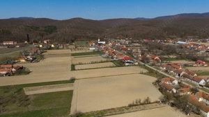 Loc de casă în Odvoș - Conop 3000mp - imagine 3