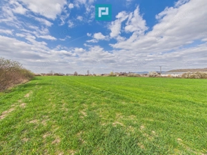 Teren extravilan, 1 ha, în orașul Sebiș, Arad - imagine 10