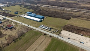 Teren extravilan de 7.000 mp lângă Păltiniș - imagine 9
